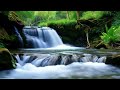 Healing music for Relief Stress and Calming also Anxiety Relief