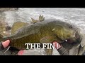 Can you catch Smallies on a Zoom fluke ??