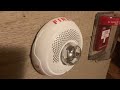 Fire alarm system test 10: IM BACK