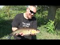 CHUB Everywhere!! RIVER FISHING With A Nice Surprise-June 16th 2023