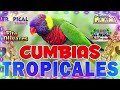 CUMBIAS TROPICAL PARA BAILAR🌴TROPICALES MIX EXITOS🎶🍹TROPICAL FLORIDA,FITO OLIVARES,EL NEGRO 2024