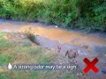 How to Spot and Report Stormwater Pollution