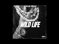 Eminence - Wild Life ( Official Audio)