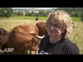 Kuh mit Kalb: Lohnt sich Mutterkuhhaltung auf der Weide? | Unser Land | BR