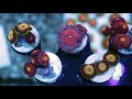 The Secret to Keeping Zoanthids