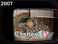 Evolution of cashew tv 1966 - 2024