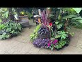 Tour of my new Tiki Hut. In my Tropical style garden U.K.