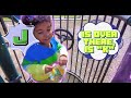 Learn ABCs, Numbers, Fruits and Vegetables in 1 Hour | Asher's Learning Adventures