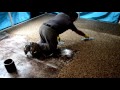 How-To Install Epoxy Natural Stone Flooring