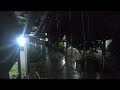 Rain sounds for sleeping.|  solution for insomnia |? heavy rain all night in village Indonesian