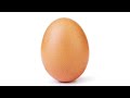 Dislikes World Record Egg