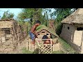 Builder Best Videos: Building Wild Dog House
