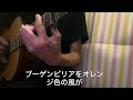 リンドバーグの墓/さだまさしさん　(cover)