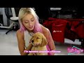 24 HORAS SIENDO MAMÁ DE 10 PERRITOS GOLDEN BEBÉS!!!🐶🍼💘 AYUDA!!!🙆🏼‍♀️🍼 | Katie Angel