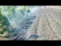 sprinkler irrigation in the field village @dineshkushwahchapadiya8149