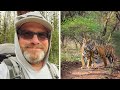 Crying tigress brings dying cub to this man, then something incredible happened