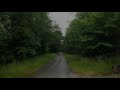 HEAVY RAIN WALK in FOREST 3H 4K | Bordeaux France 2021 / ASMR Rain Sounds for  Sleeping study