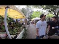 MARKETS @ GLEBE 4k Walk - Sydney Australia