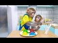 KiKi Monkey deal with The Floor is Lava challenge to take Ice Cream Truck | KUDO ANIMAL KIKI