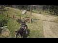 Red Dead Redemption 2 wtf le pnj et son cheval !