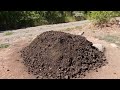 Permaculture Garden In The High Desert