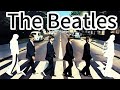 Let the Classics Brighten Your Day: The Beatles Greatest Hits Full Album