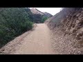 Chasing a bobcat in Chino Hills State Park