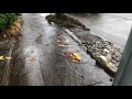 Walking in the Rain in Seattle, WA - Queen Anne 4k Binaural Audio