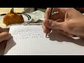 Arne writes the digits of pi for 3:14 minutes