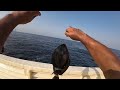 #fishinglife#surgeonfish  #catchandrelease