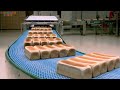 How Strawberry Jam Is Made In Factory | Strawberry Jam Factory Process