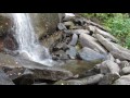 Four Waterfalls in The Pisgah National Forest - Transylvania County, NC