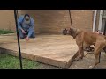 How to build a  deck:  DIY pallet wood deck build for under $100