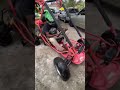 little brother driving his gocart