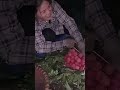 Harvest lychees at night - Thu Hien farm