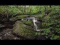 Britenell Brook , Beauty Behind the Guardrails.