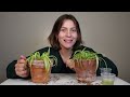 How To Propagate Spider Plants the Correct way from Start to Finish COMPLETE PROCESS