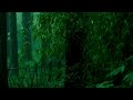 Rain in the Jungle :: Video & Sound