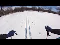 Redtail ski