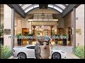 Cat on a roadtrip (hotel edition) Episode 1 look description