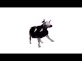 Dancing Polish Cow (EARRAPE)
