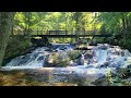 Forest Waterfall - Relaxing Water Flowing Sounds - Short Relaxation - 4K Nature Video