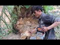 senso stihl kelapa sawit drive gearz stihl 2 tak mpx1