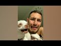 Funny Moments of Cats | Funny Video Compilation - Fails Of The Week #16