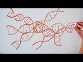 What is the PAM? - A CRISPR Whiteboard Lesson