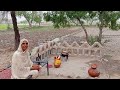 Alhamdulillah Channel Monotaize Ho Gya | Beautiful Village Life Of Pakistan |