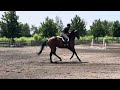 Wait For It + J.R. McCaulley | NJ Thoroughbred Spectacular | 2’ Hunter Over Fences 1 | July 28, 2024