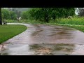A Walk with the Comfortable Rain Sounds - Insomnia Relief, Tinnitus Improvement Effect, Quick Sleep