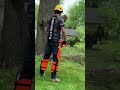 Cutting big branch off of a sliver maple 🍁