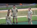 The Irwin's Big Announcement | Australia Zoo